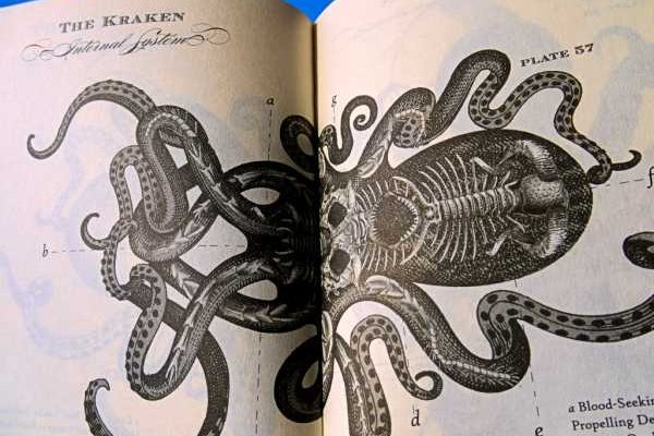 Зеркало кракен дарк