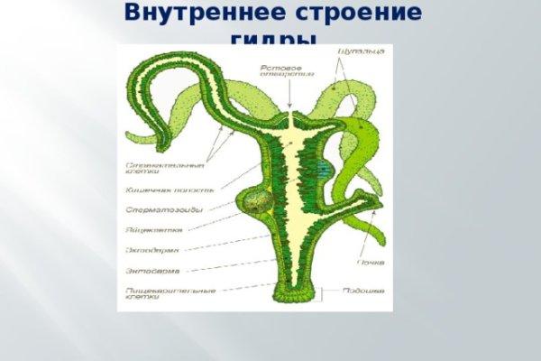 Даркнет маркет кракен onion