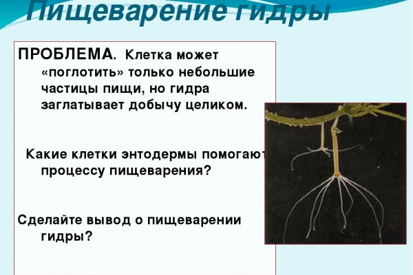 Гидра альтернатива