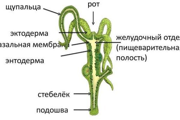 Kraken купить клад